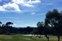 golf_gallery_01