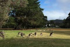 golf_gallery_03