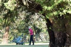golf_gallery_05