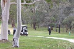golf_gallery_07