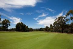 golf_gallery_08