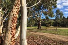 golf_gallery_10
